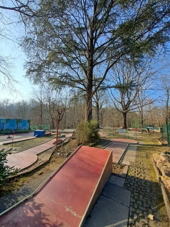 immagine annuncio 9 di 13