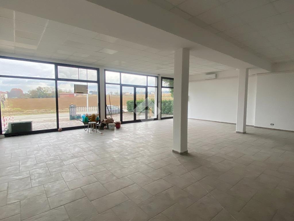 immagine annuncio 5 di 8