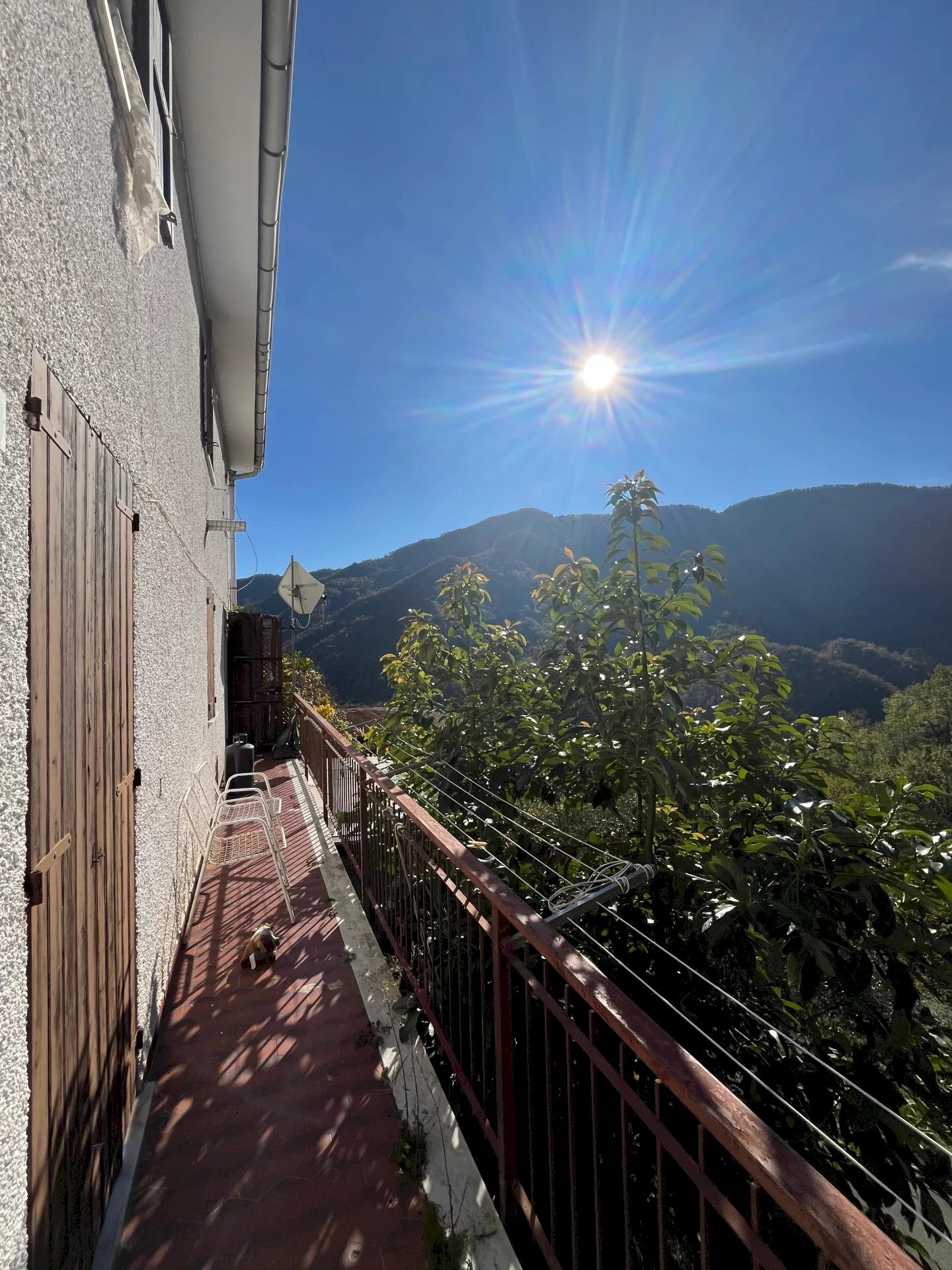 immagine annuncio 2 di 6