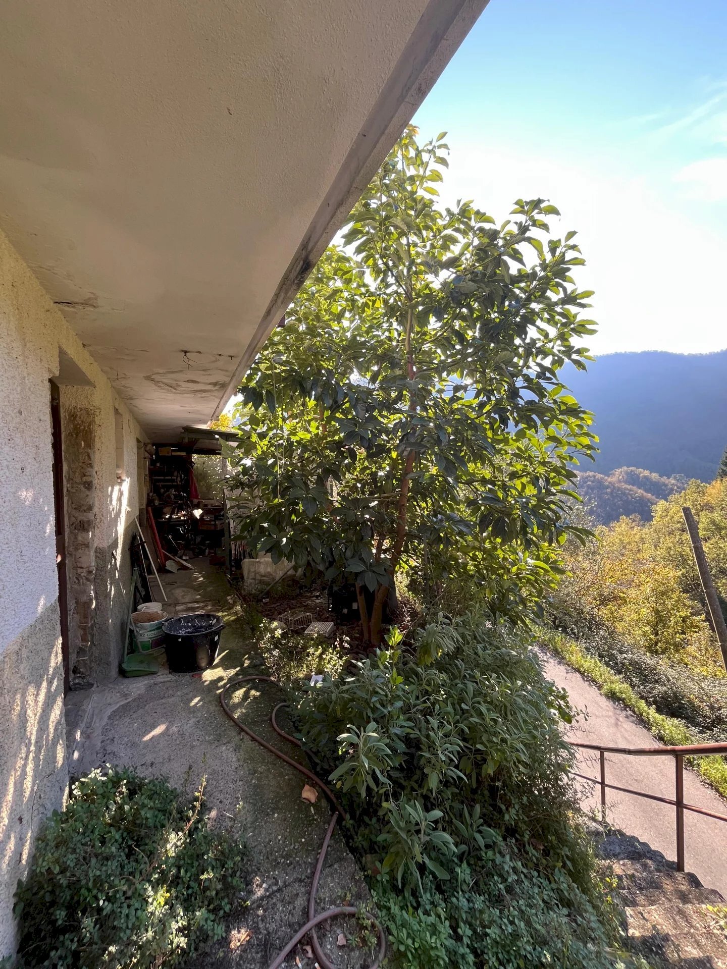 immagine annuncio 3 di 6