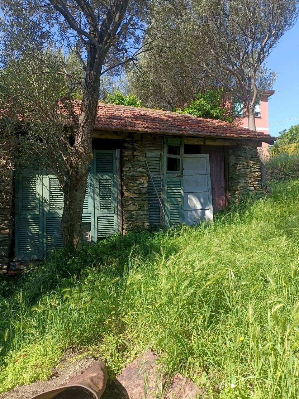 immagine annuncio 1 di 11