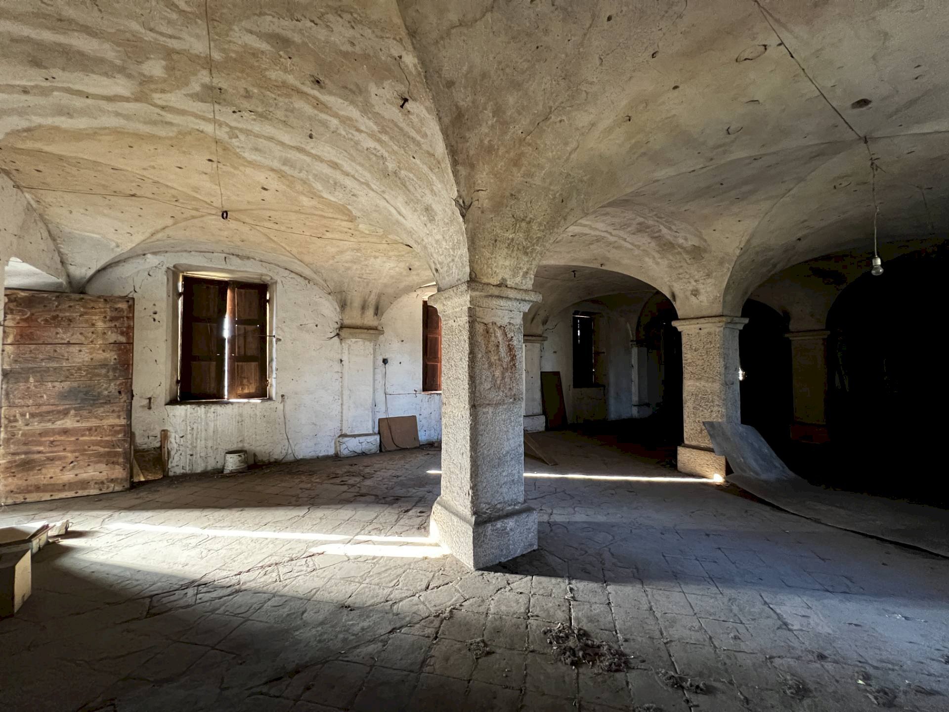 immagine annuncio 5 di 14