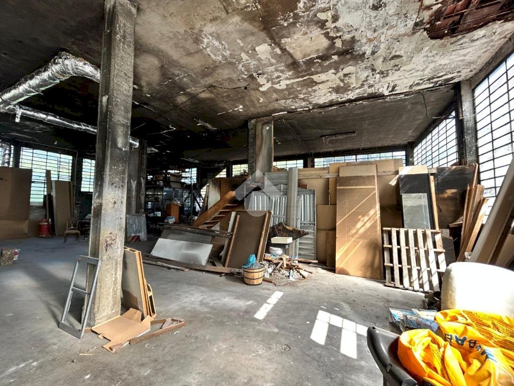 immagine annuncio 7 di 15