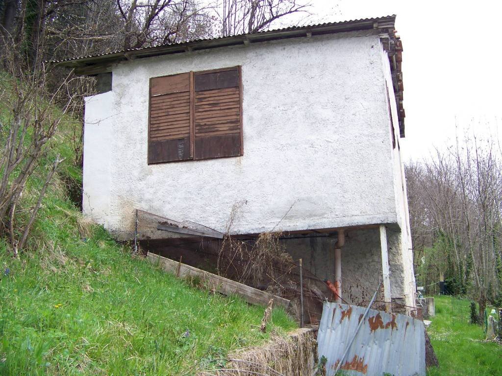 immagine annuncio 6 di 14