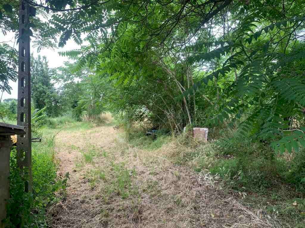 immagine annuncio 7 di 9