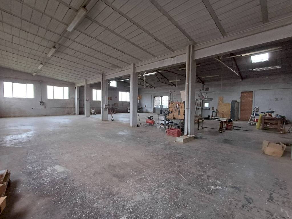 immagine annuncio 5 di 13