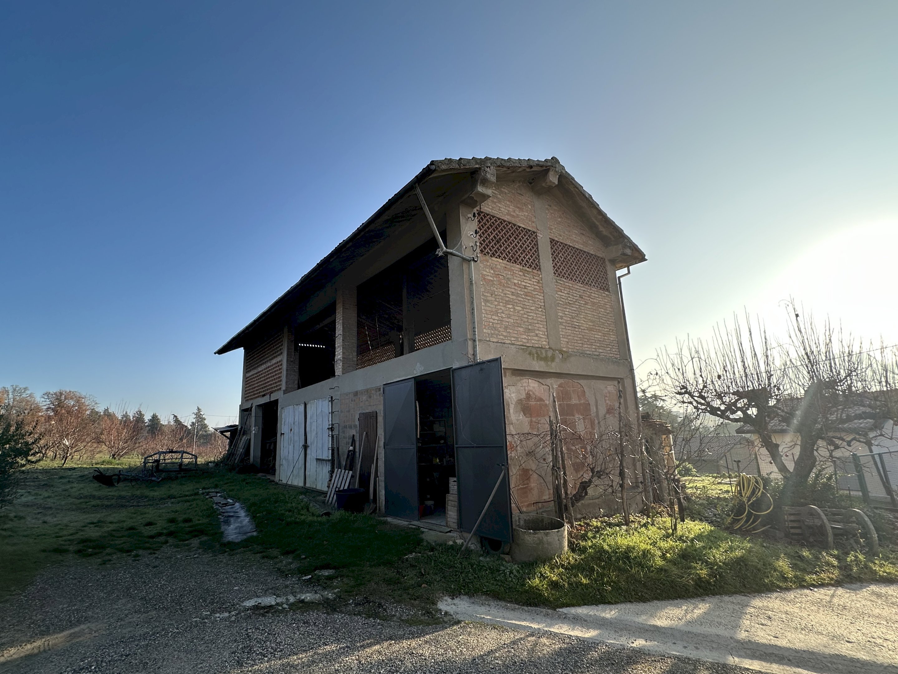 immagine annuncio 1 di 10