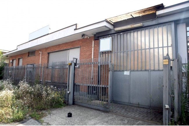 immagine annuncio 3 di 12