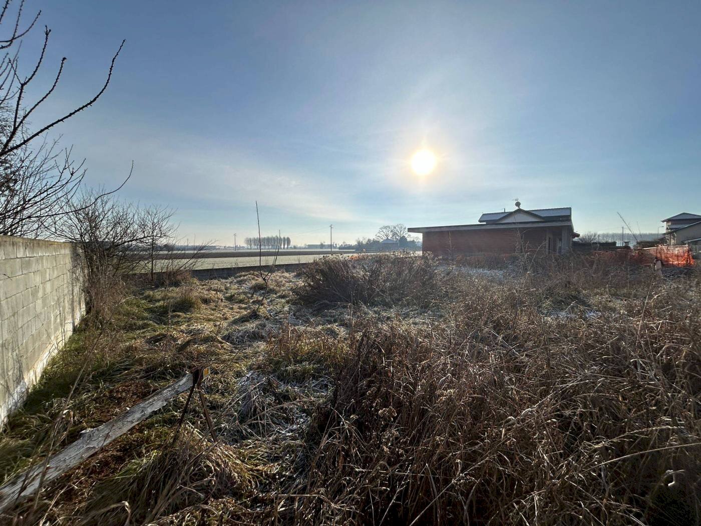 immagine annuncio 4 di 7