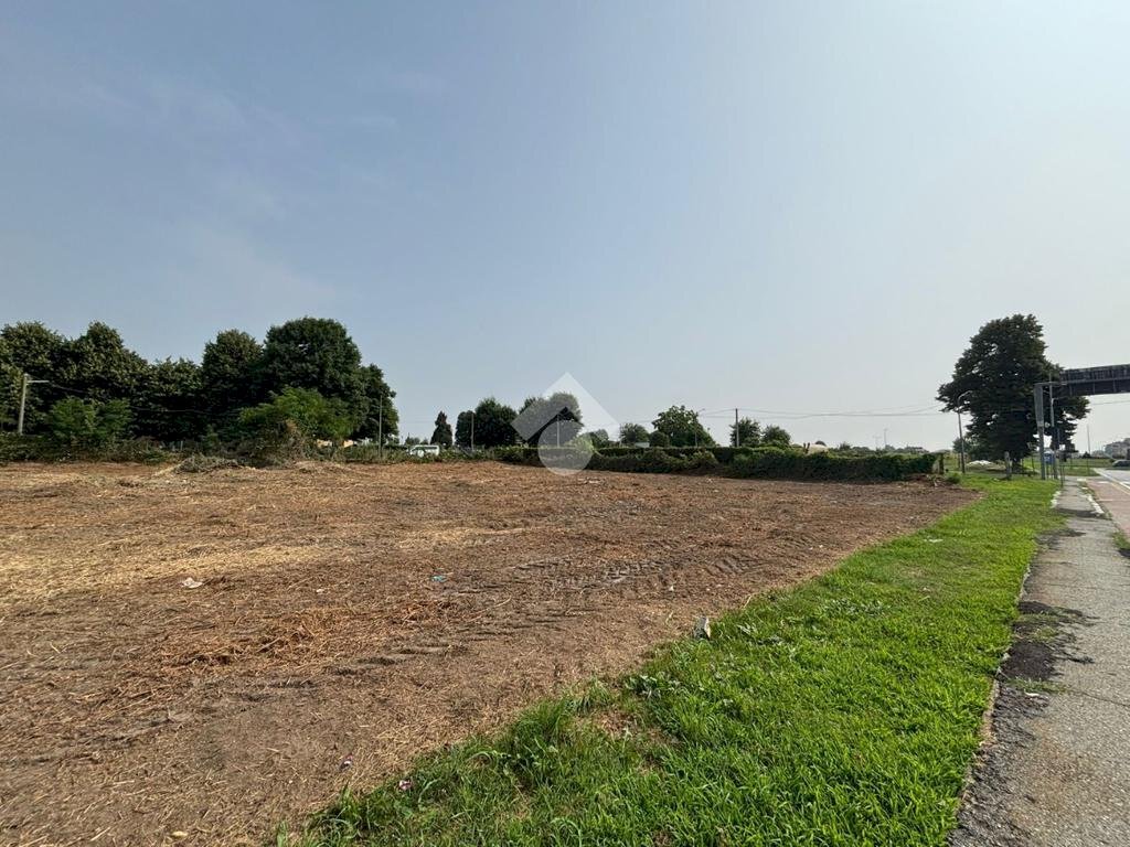 immagine annuncio 6 di 11