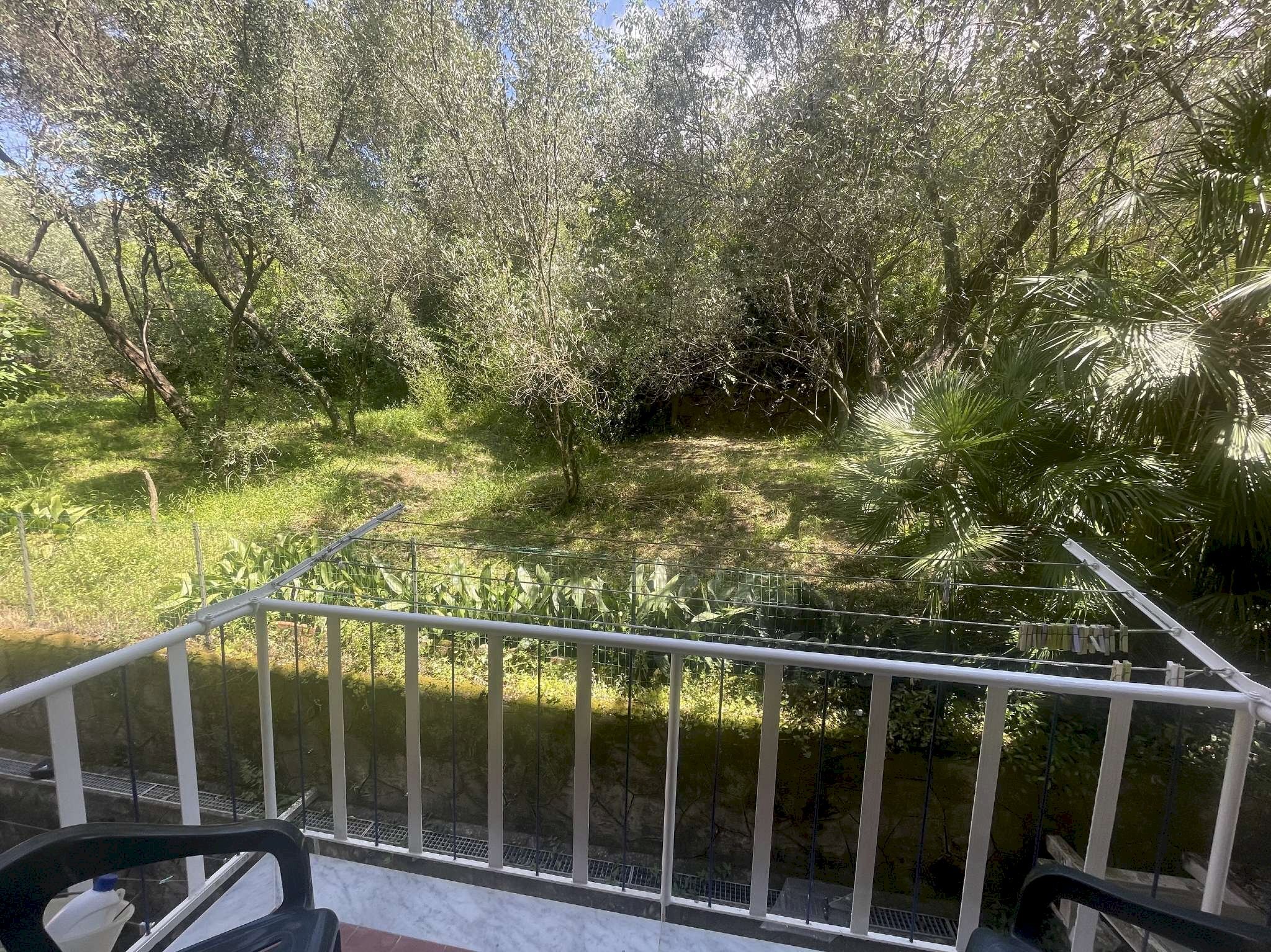 immagine annuncio 6 di 8