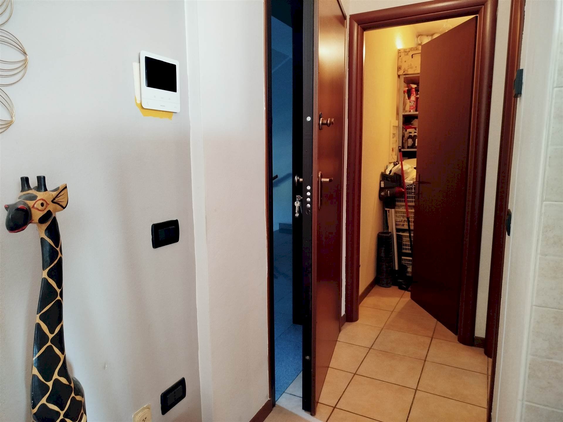 immagine annuncio 5 di 12