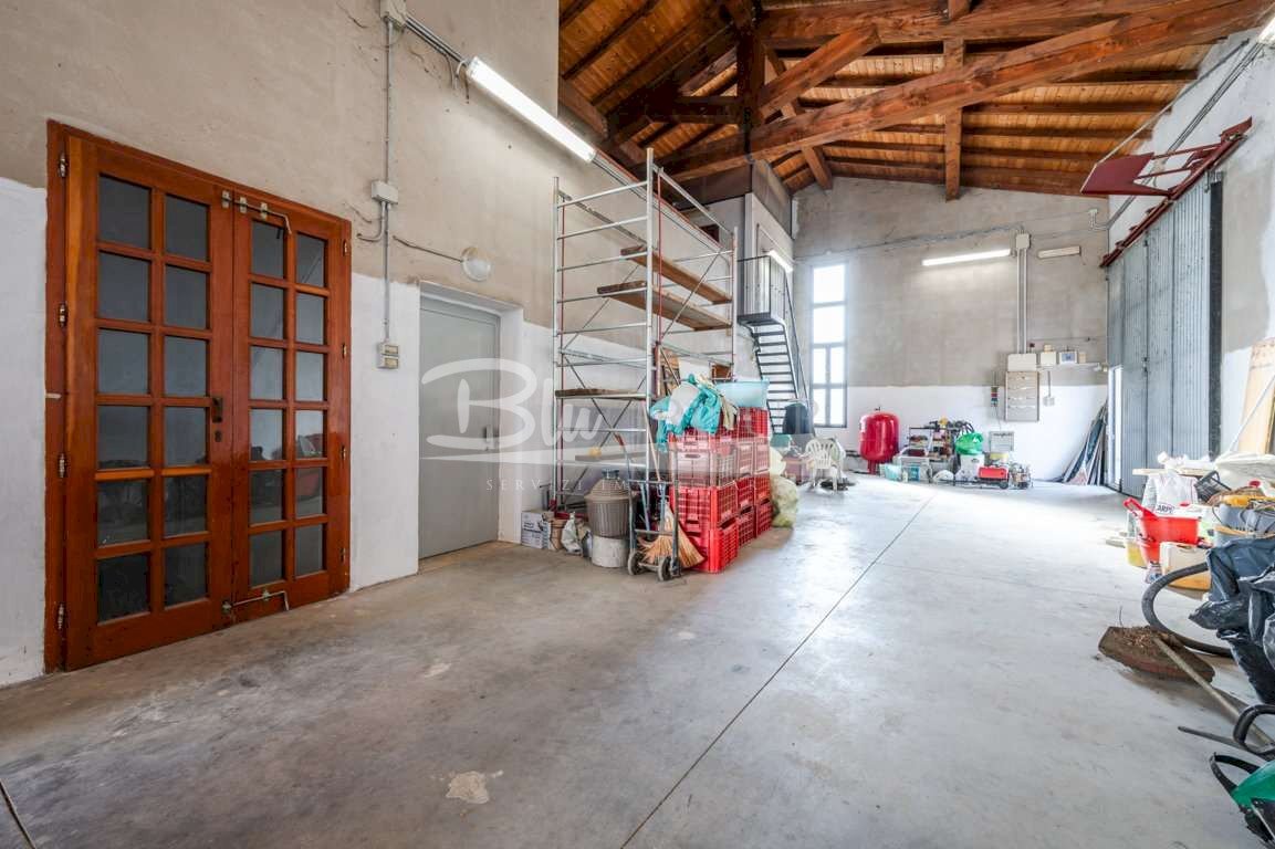 immagine annuncio 10 di 15