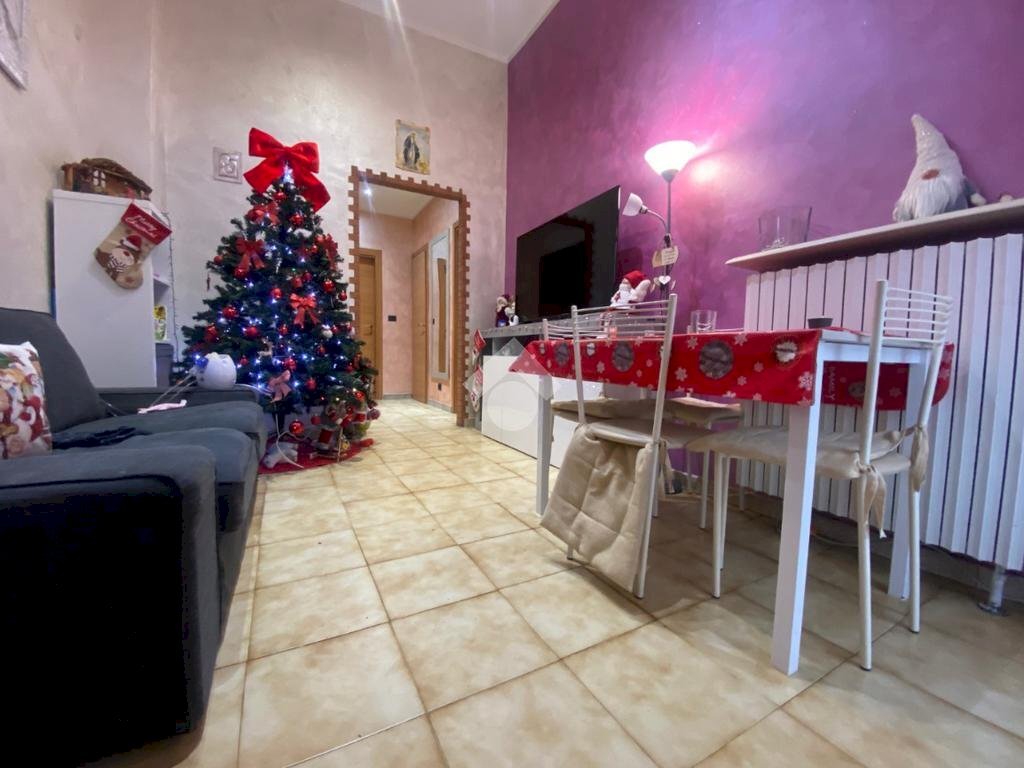 immagine annuncio 6 di 14