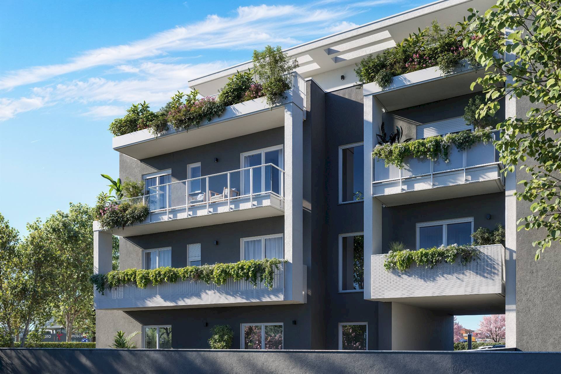 immagine annuncio 2 di 4