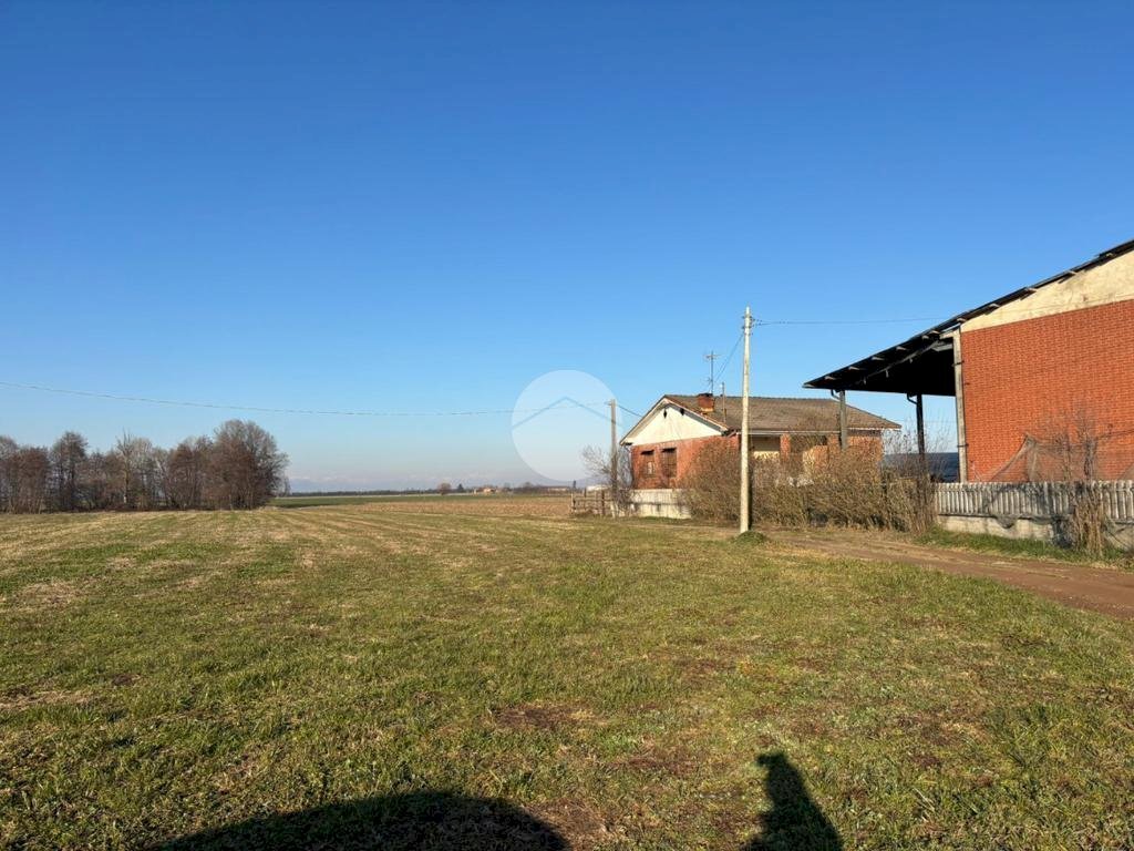 immagine annuncio 3 di 12