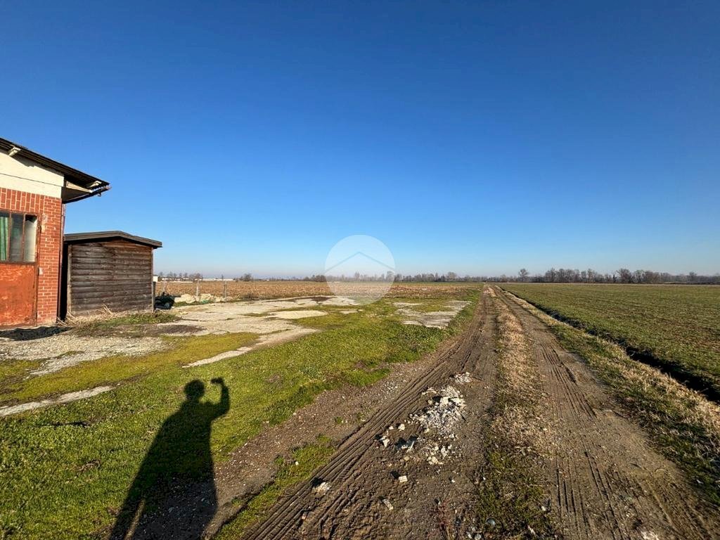 immagine annuncio 4 di 12