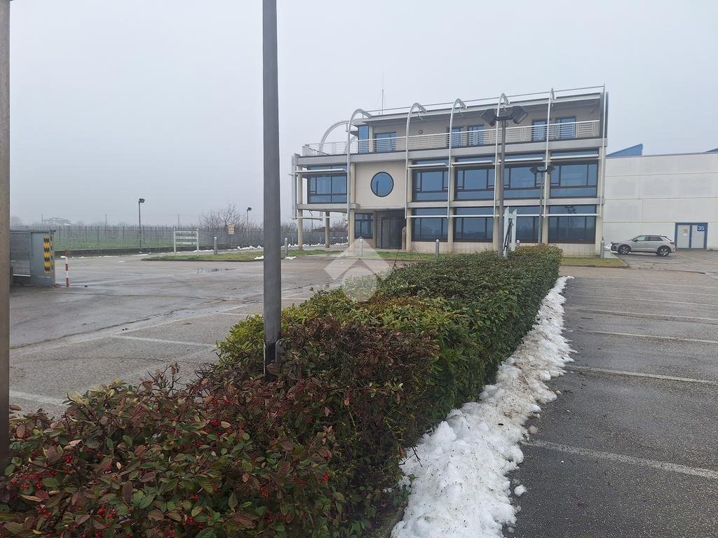 immagine annuncio 7 di 14