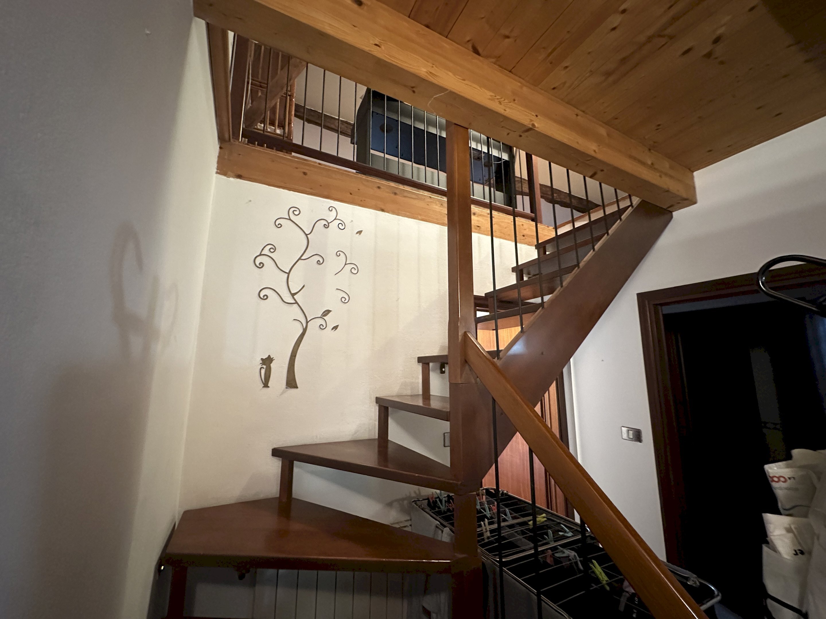 immagine annuncio 10 di 14