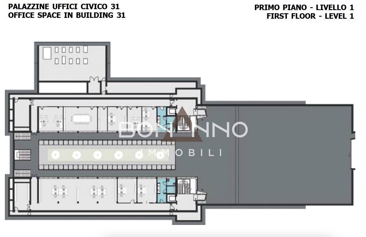 immagine annuncio 12 di 14