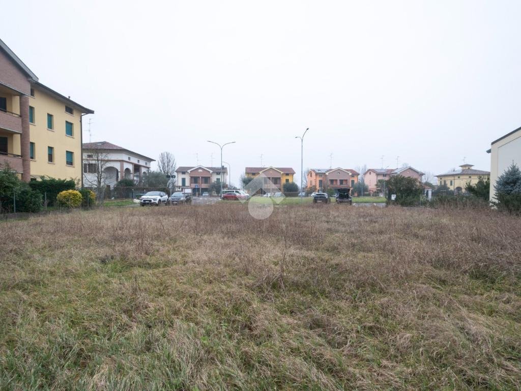 immagine annuncio 4 di 12