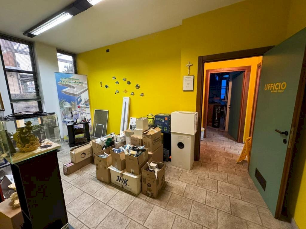 immagine annuncio 13 di 15