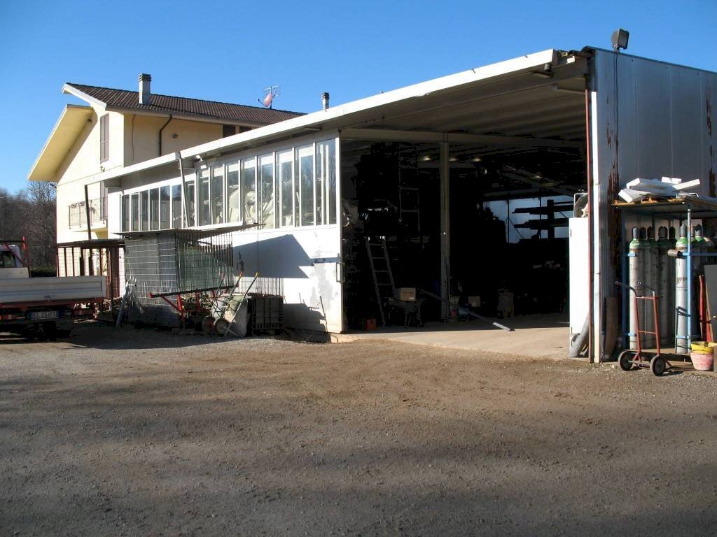 immagine annuncio 12 di 15