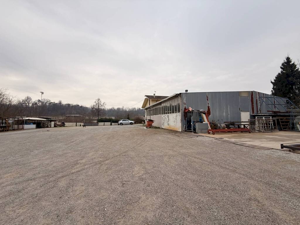 immagine annuncio 13 di 15