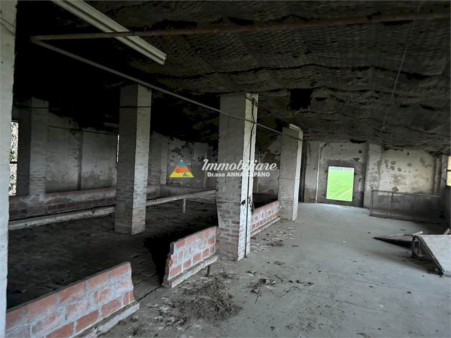 immagine annuncio 3 di 8