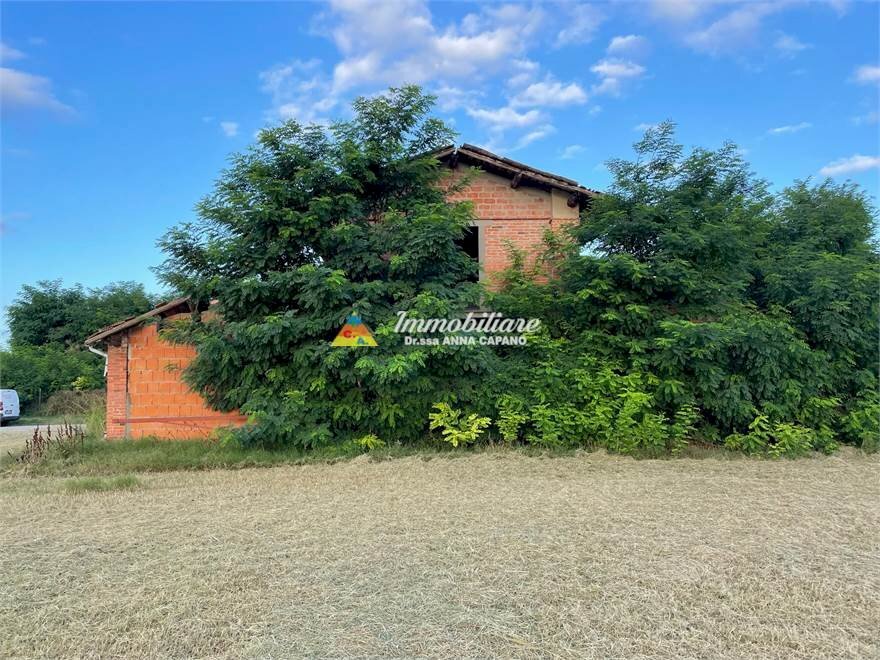 immagine annuncio 6 di 8