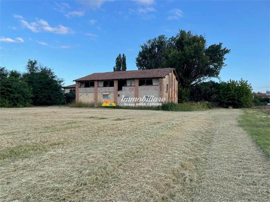 immagine annuncio 7 di 8