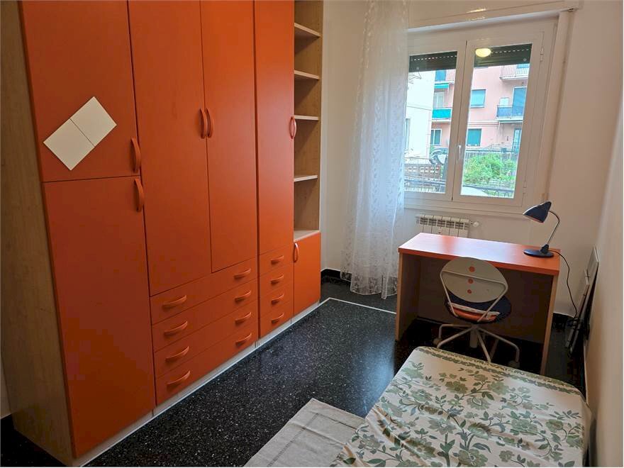 immagine annuncio 3 di 12