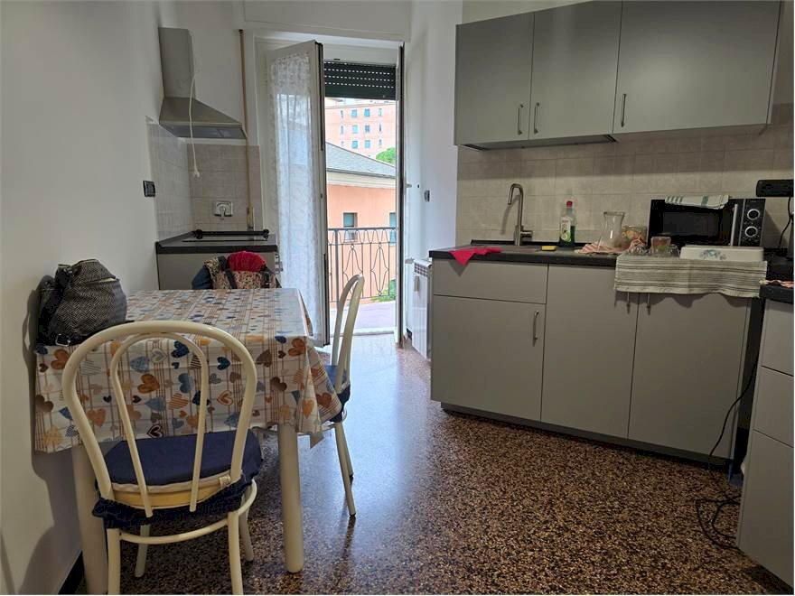 immagine annuncio 5 di 12