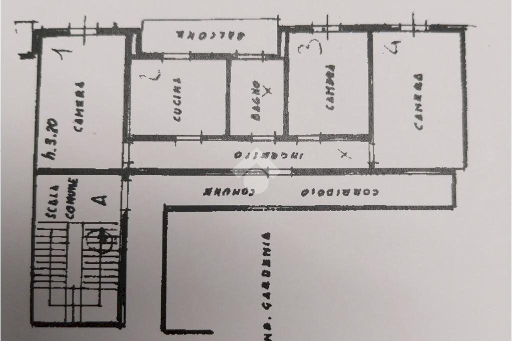 immagine annuncio 13 di 14