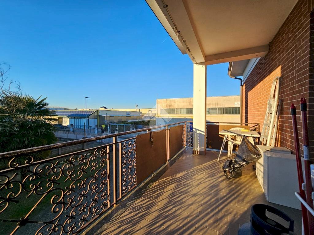 immagine annuncio 12 di 15