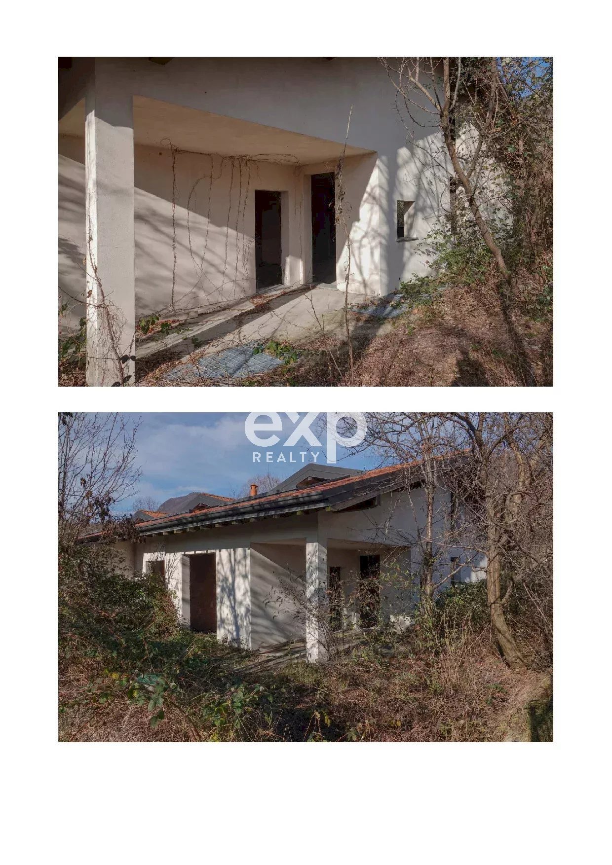 immagine annuncio 5 di 14