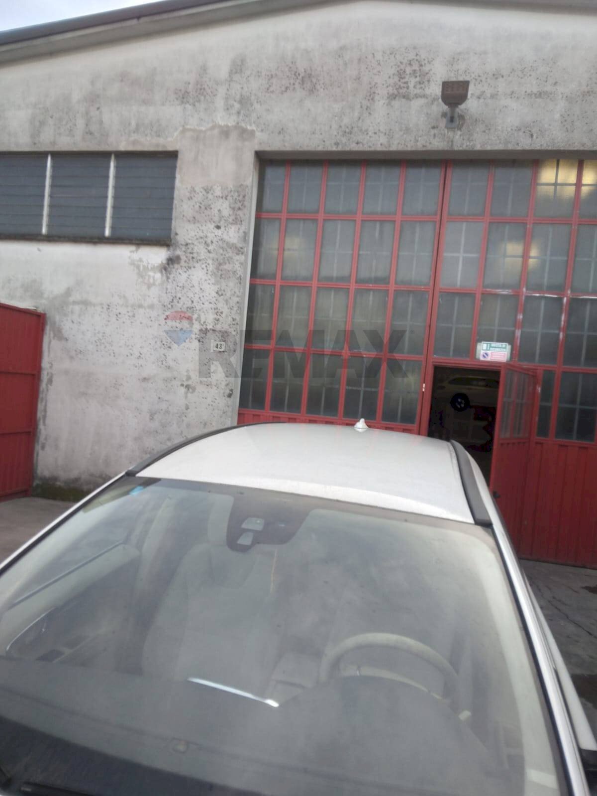 immagine annuncio 1 di 13