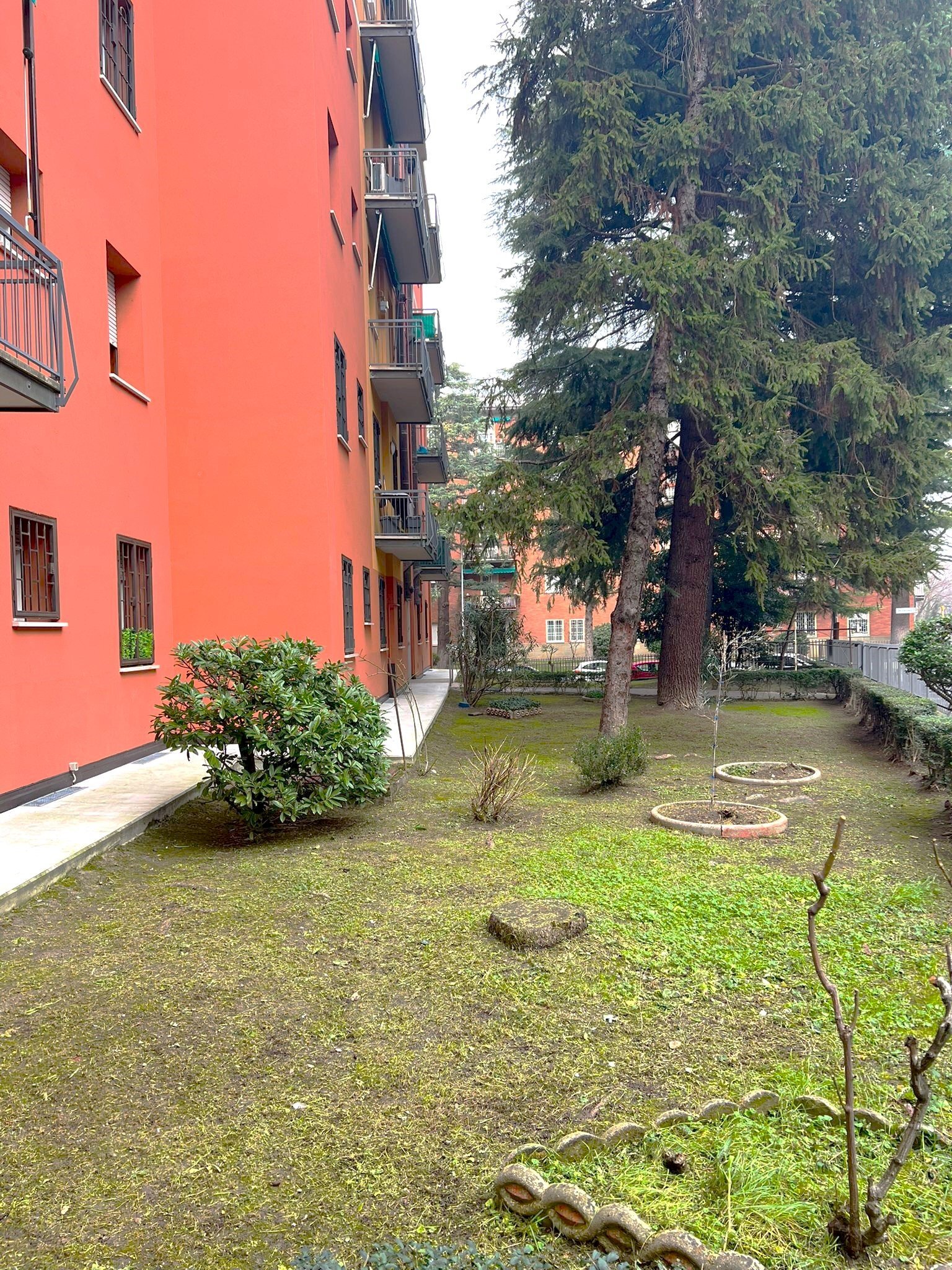 immagine annuncio 9 di 11