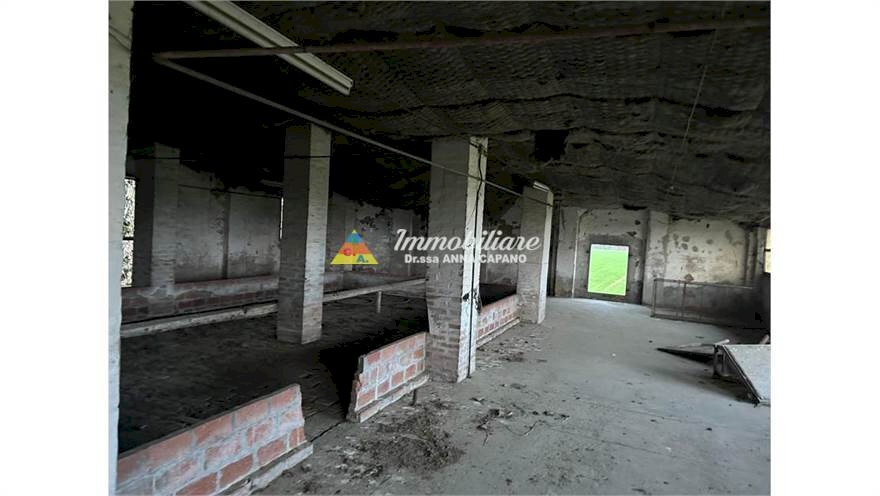 immagine annuncio 4 di 8