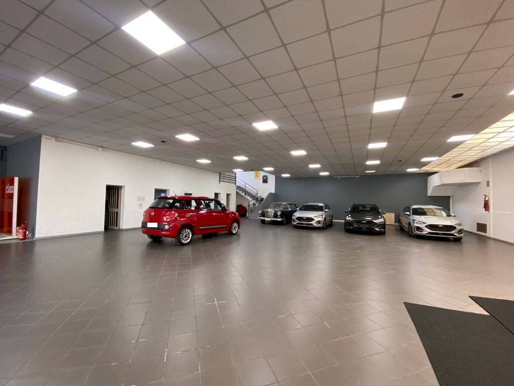 immagine annuncio 3 di 15