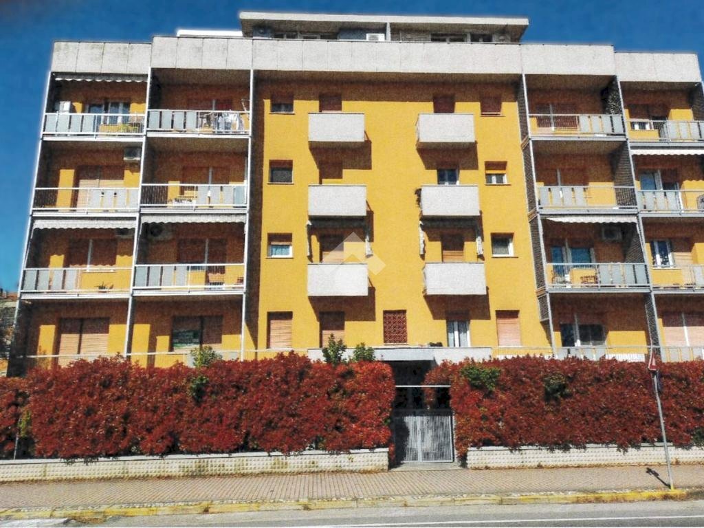 immagine annuncio 3 di 13