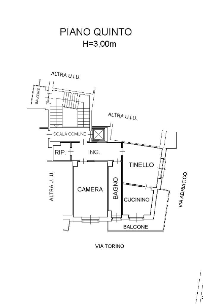 immagine annuncio 12 di 14