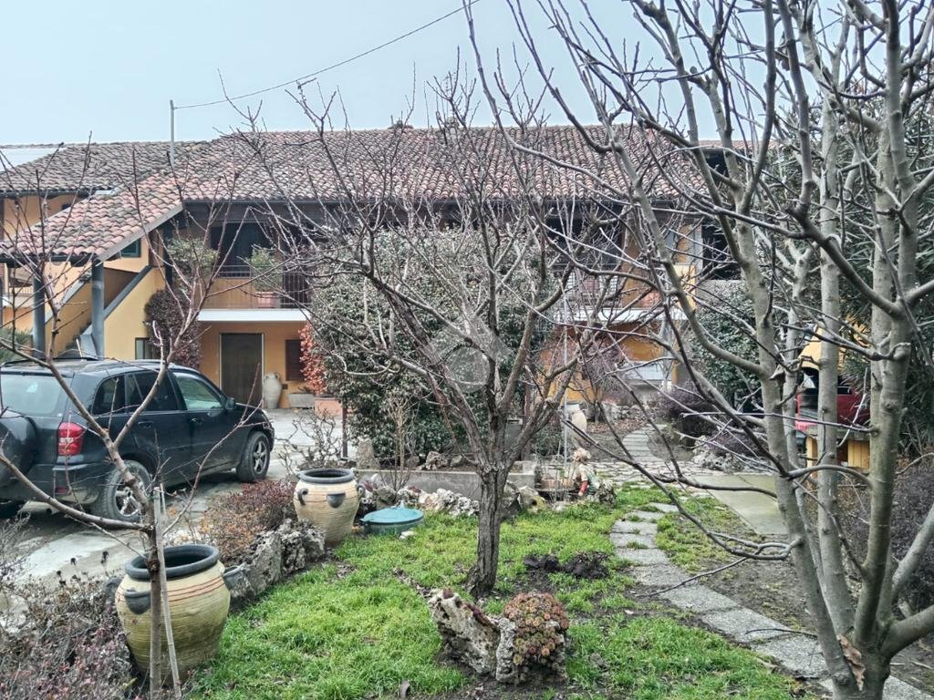 immagine annuncio 11 di 15