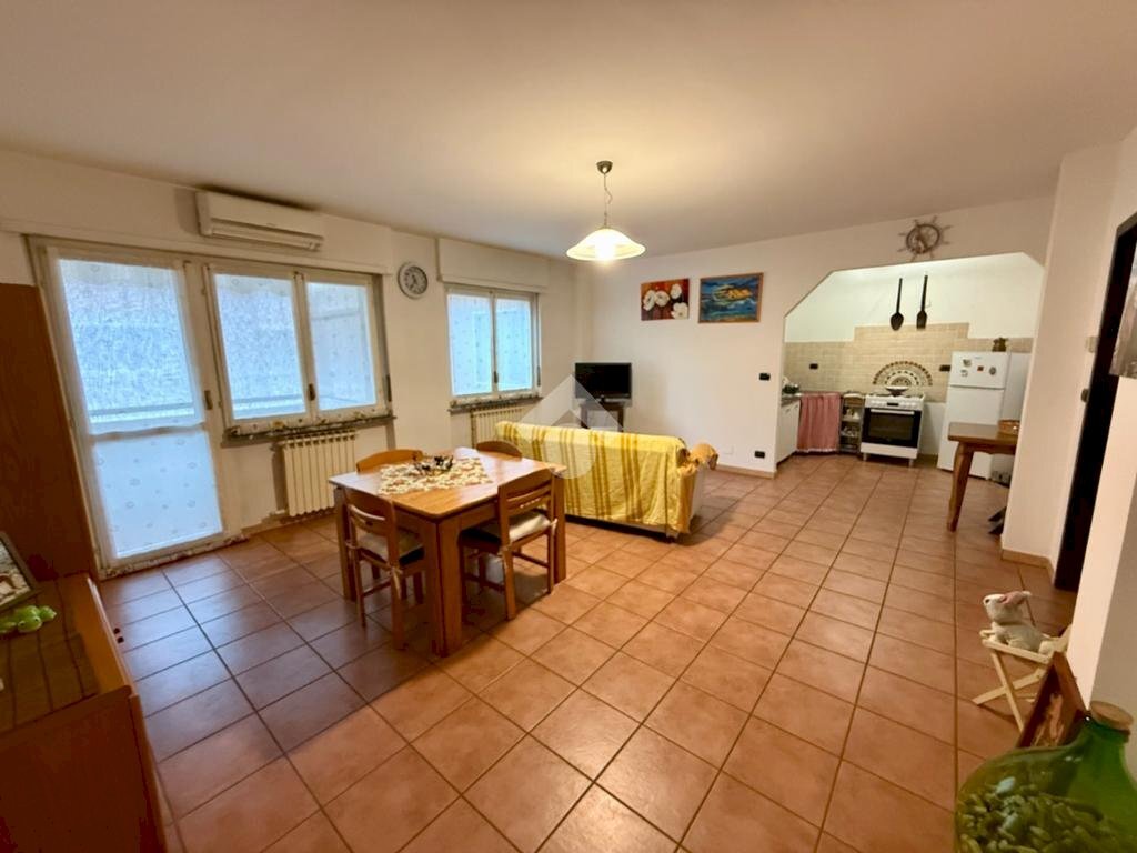 immagine annuncio 2 di 14