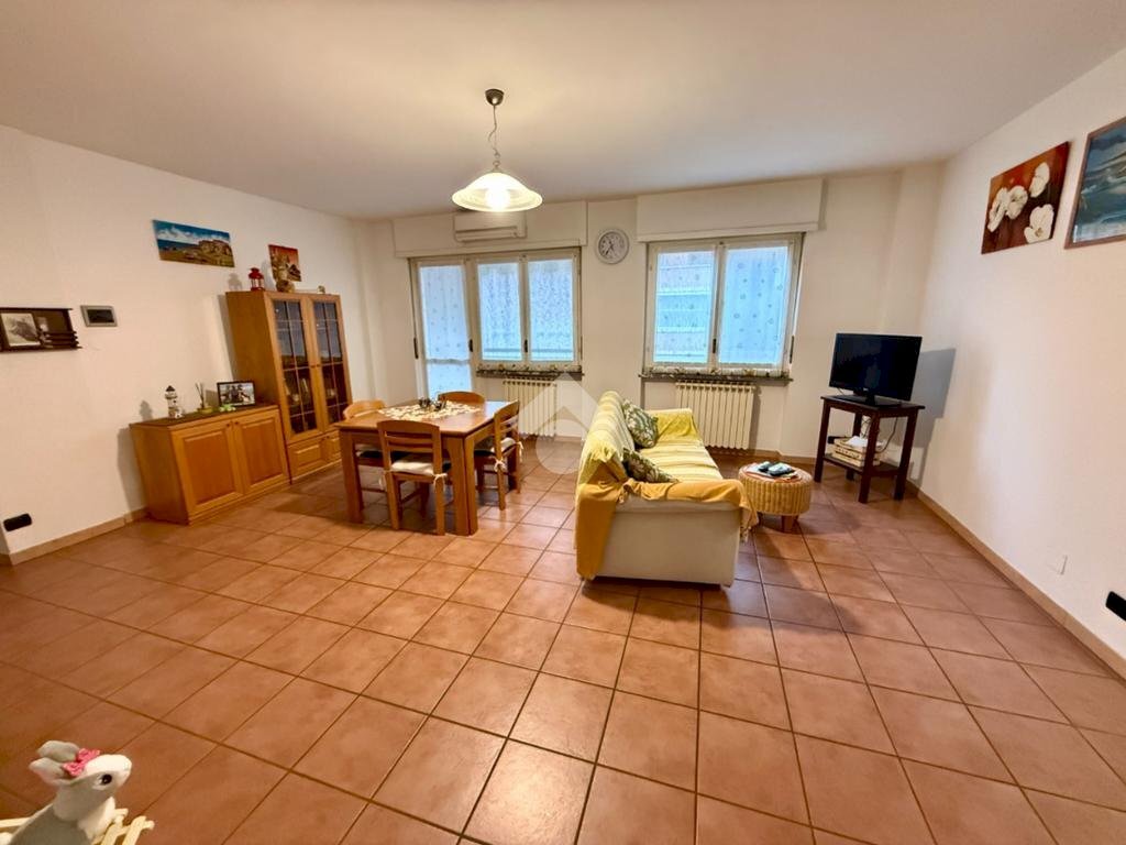 immagine annuncio 2 di 12