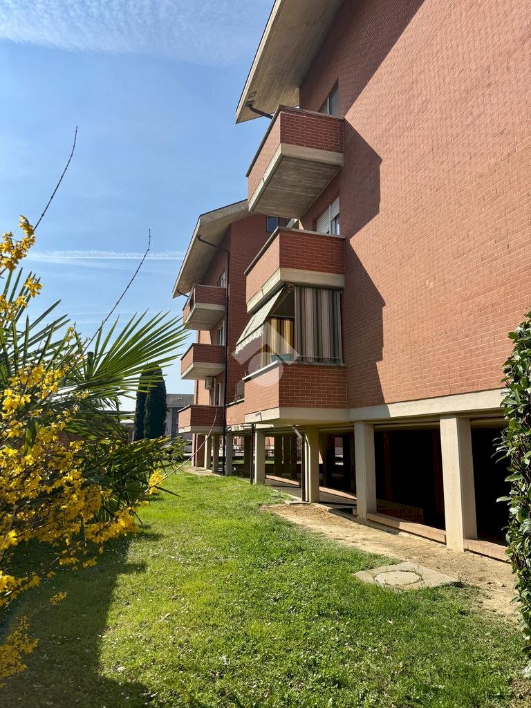 immagine annuncio 1 di 14