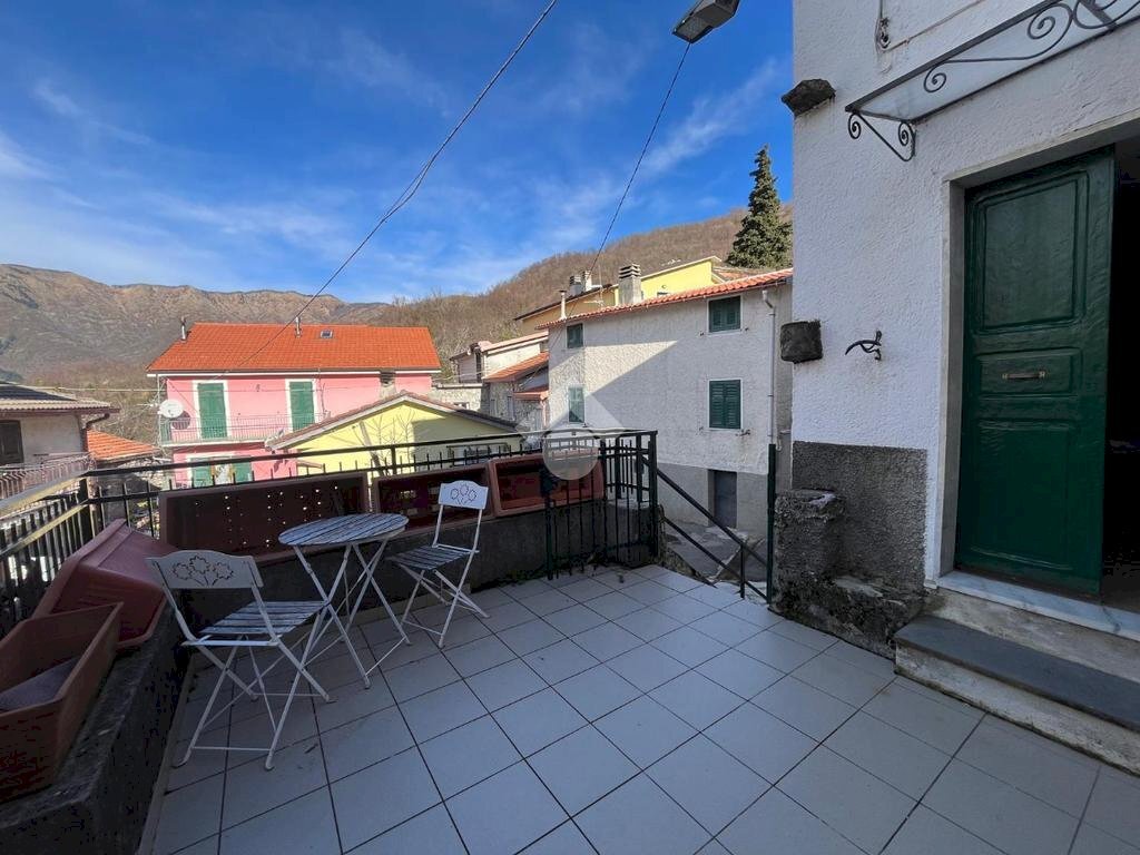 immagine annuncio 12 di 14