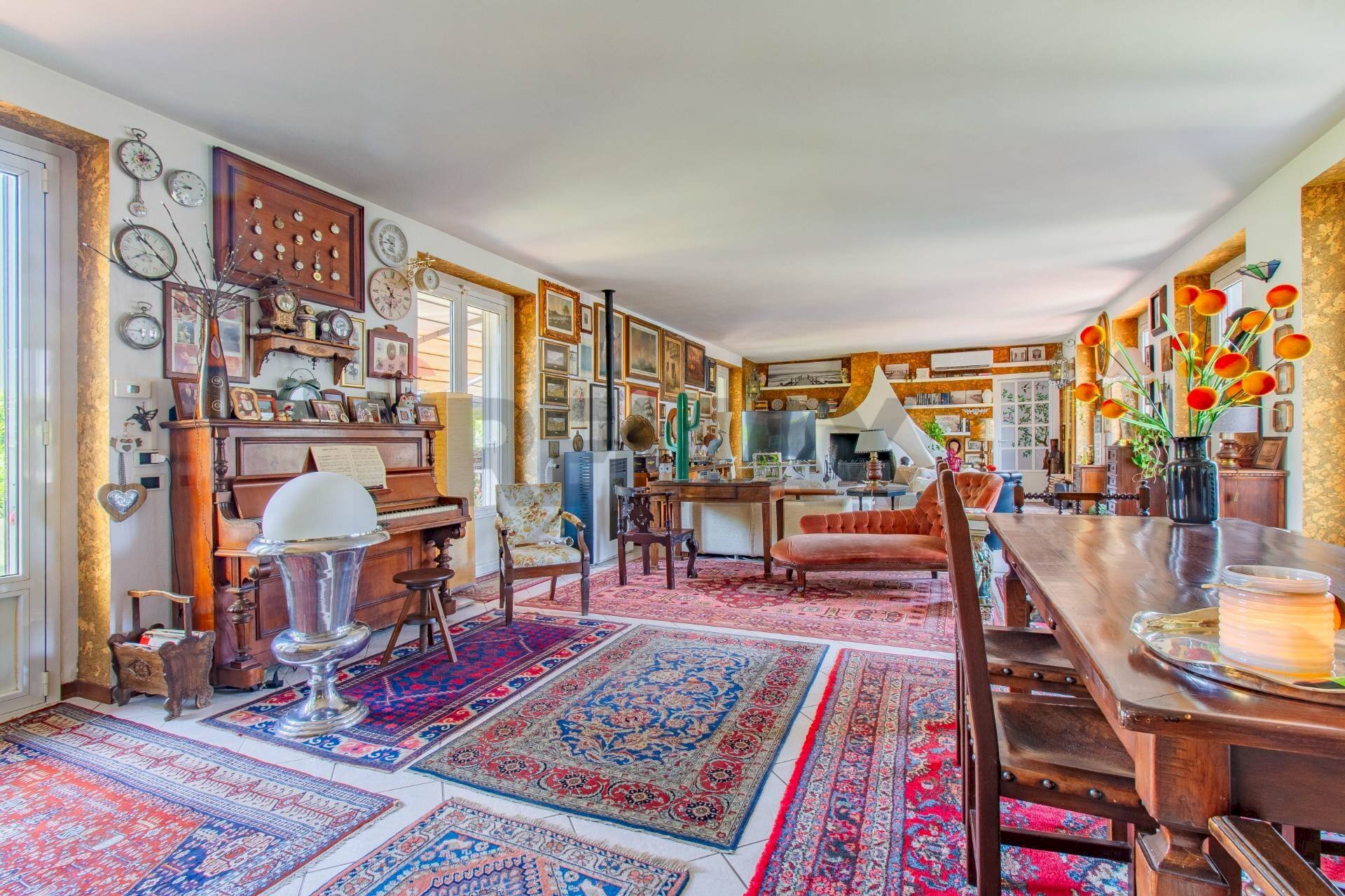 immagine annuncio 11 di 15