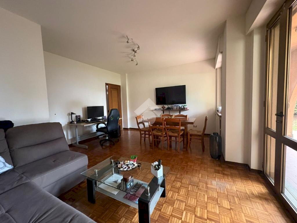 immagine annuncio 4 di 14