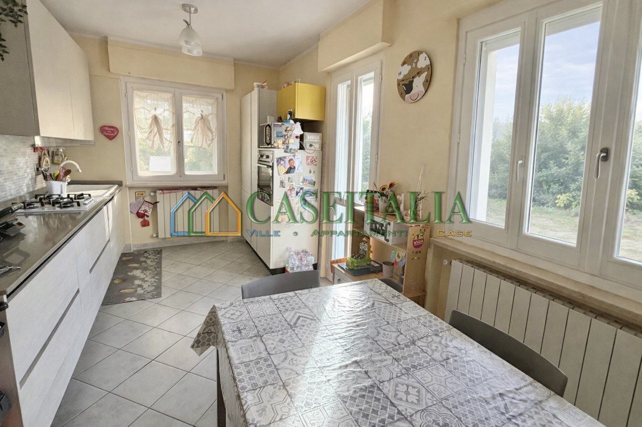 immagine annuncio 6 di 12